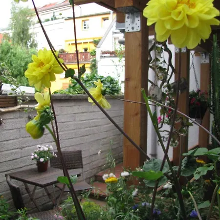 Kleines Gaestehaus _ Objekt 25897 Daire *